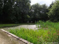 Oops photo: 04662 is missing - please let us know