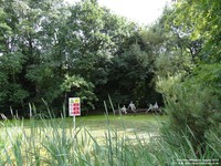 Oops photo: 04675 is missing - please let us know