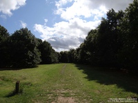 Oops photo: 04676 is missing - please let us know