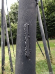 Oops photo: 04699 is missing - please let us know