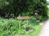 Oops photo: 04720 is missing - please let us know