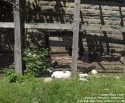 Oops photo: 04726 is missing - please let us know