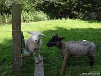 Oops photo: 04733 is missing - please let us know