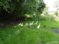 Oops photo: 04735 is missing - please let us know