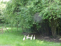 Oops photo: 04736 is missing - please let us know