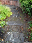 Oops photo: 04781 is missing - please let us know