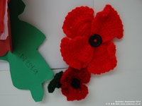 Oops photo: 04877 is missing - please let us know
