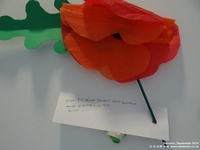 Oops photo: 04944 is missing - please let us know