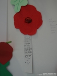 Oops photo: 04950 is missing - please let us know