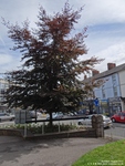 Oops photo: 05173 is missing - please let us know