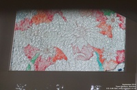 Oops photo: 05253 is missing - please let us know