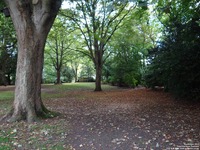 Oops photo: 05275 is missing - please let us know