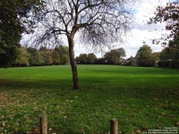 Oops photo: 05340 is missing - please let us know
