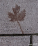 Oops photo: 05347 is missing - please let us know