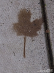 Oops photo: 05348 is missing - please let us know