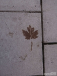 Oops photo: 05349 is missing - please let us know
