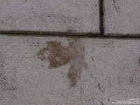 Oops photo: 05353 is missing - please let us know