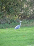 Oops photo: 05405 is missing - please let us know