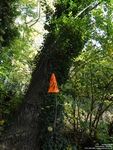 Oops photo: 05410 is missing - please let us know