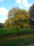 Oops photo: 05422 is missing - please let us know