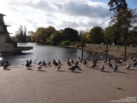 Oops photo: 05426 is missing - please let us know