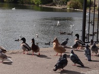 Oops photo: 05427 is missing - please let us know