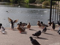 Oops photo: 05428 is missing - please let us know