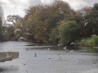 Oops photo: 05430 is missing - please let us know