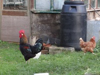 Oops photo: 05521 is missing - please let us know