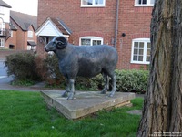 Oops photo: 05700 is missing - please let us know