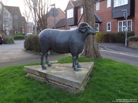 Oops photo: 05705 is missing - please let us know
