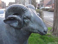 Oops photo: 05706 is missing - please let us know