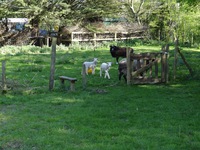 Oops photo: 05780 is missing - please let us know