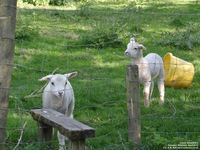 Oops photo: 05781 is missing - please let us know