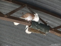 Oops photo: 05787 is missing - please let us know