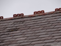 Oops photo: 05803 is missing - please let us know