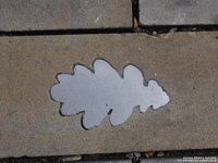 Oops photo: 05839 is missing - please let us know