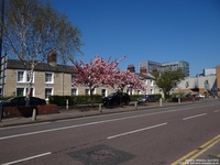 Oops photo: 05879 is missing - please let us know
