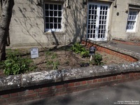 Oops photo: 05880 is missing - please let us know