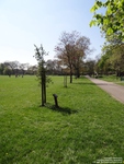 Oops photo: 05885 is missing - please let us know