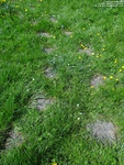 Oops photo: 05892 is missing - please let us know