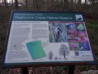 Oops photo: 05975 is missing - please let us know