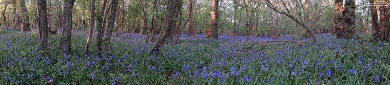 Oops photo: 05976 is missing - please let us know