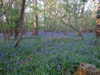 Oops photo: 05979 is missing - please let us know