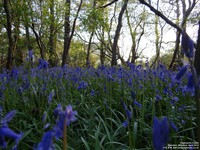 Oops photo: 05982 is missing - please let us know
