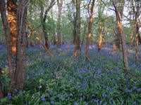 Oops photo: 05984 is missing - please let us know
