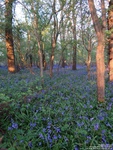 Oops photo: 05985 is missing - please let us know