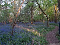 Oops photo: 05987 is missing - please let us know