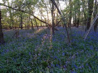 Oops photo: 05988 is missing - please let us know
