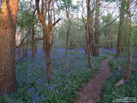 Oops photo: 05992 is missing - please let us know